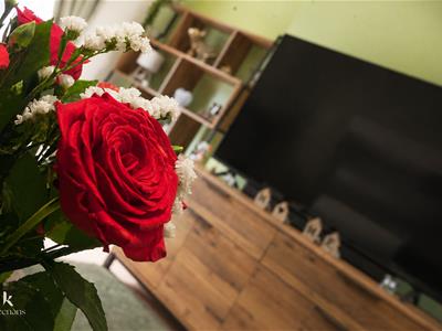 Picture 24